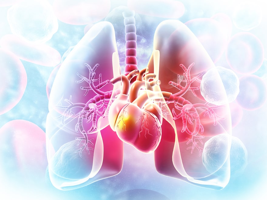 Kalp Akciğer Sağlığı Check Up