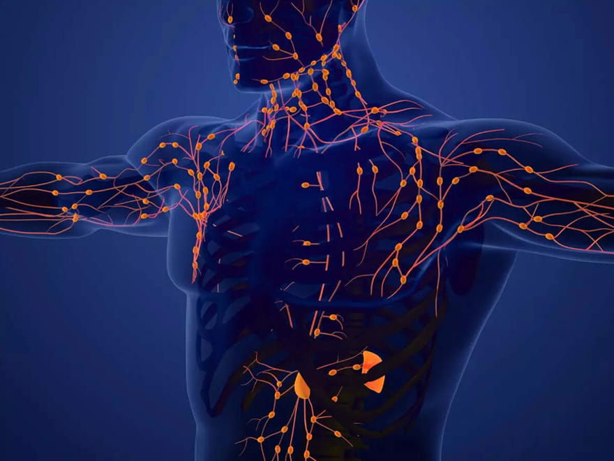 Lenf Bezi Büyümesi (Lenfadenopati)