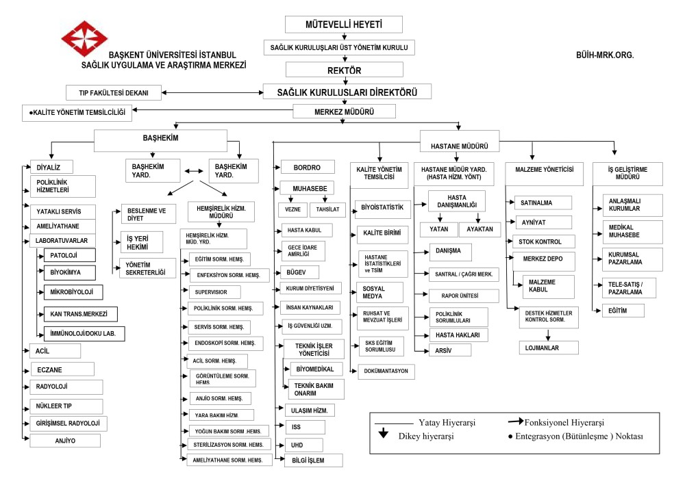 Organizasyon Şeması 2025