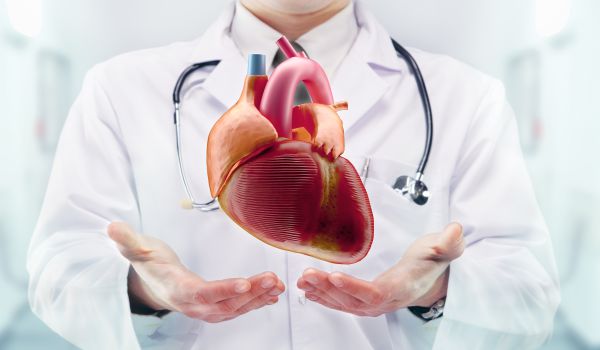 Chirurgie cardiovasculaire