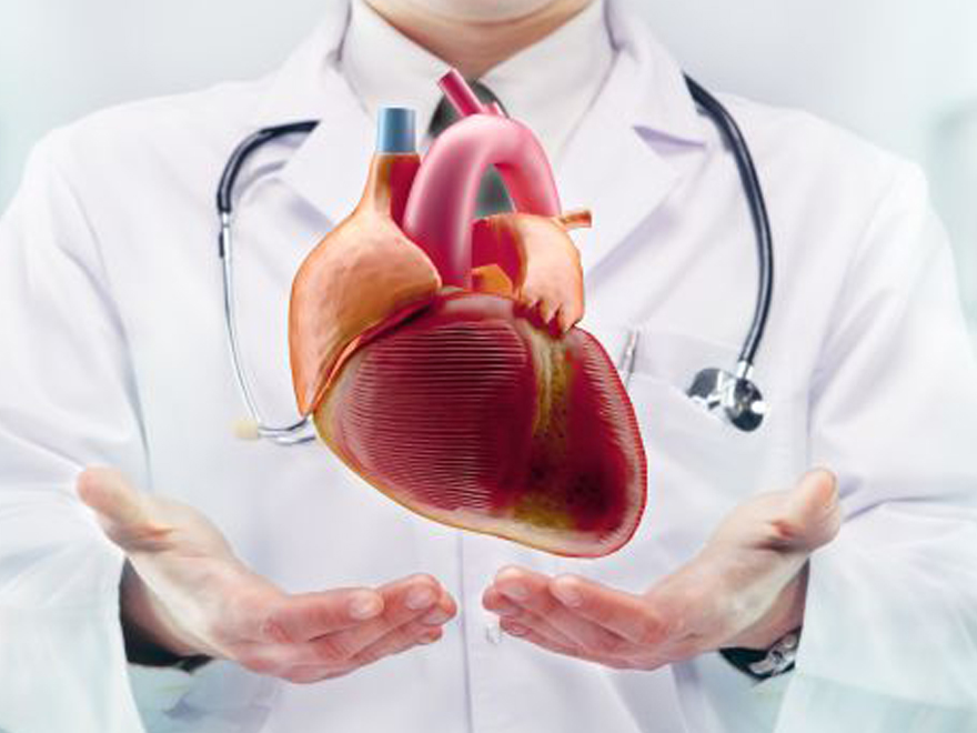 Cardiovascular Surgery