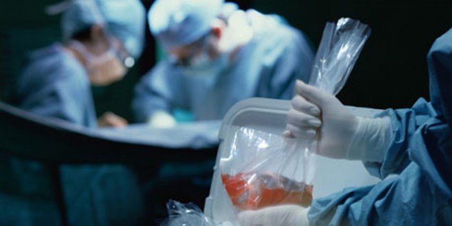 Поликлиника трансплантации органов